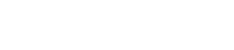 Disney Store